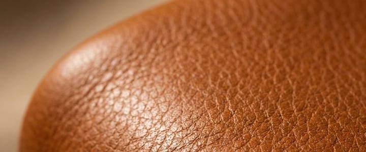 Pelle conciata, dal sito di Perligio
